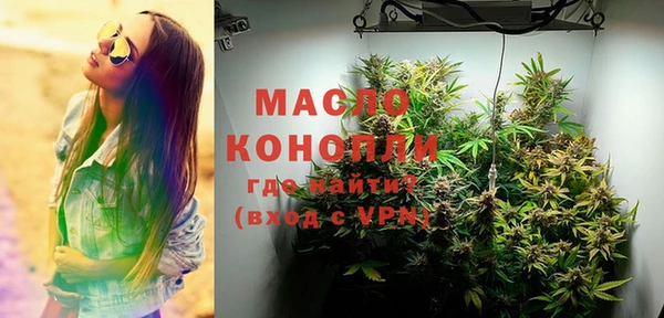 экстази Гусев