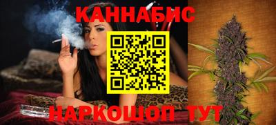a pvp Кингисепп