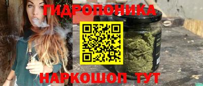 a pvp Кингисепп