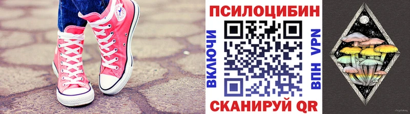 Галлюциногенные грибы Cubensis  купить   Екатеринбург 