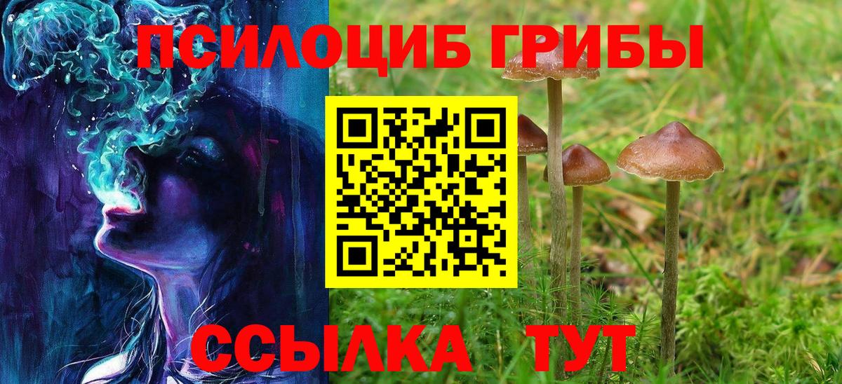 Россия  Псилоцибиновые грибы мицелий  Вход с VPN 
